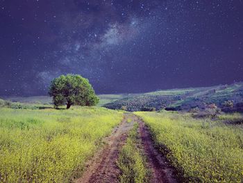 Scenic view of field against sky at night