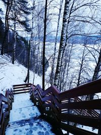 Snow covered steps in forest against sky