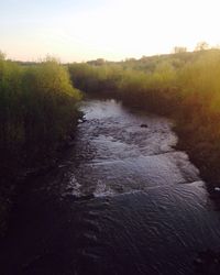 Scenic view of wet landscape against sky