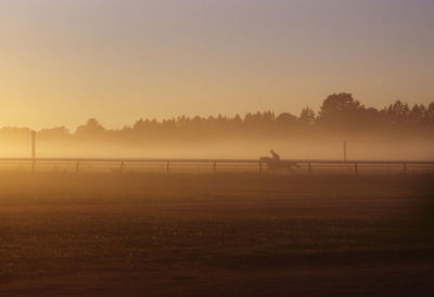 Silhouette trees on field against sky during sunset