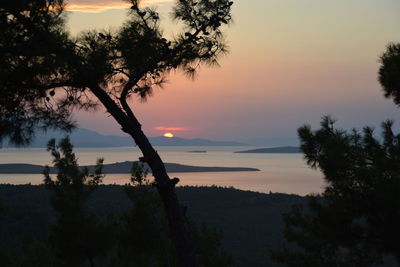 Silhouette trees on landscape against sky at sunset