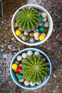 High angle view of eggs in basket