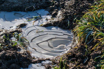 High angle view of snow on land