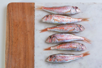 High angle view of fish on table