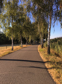 Road amidst trees during autumn