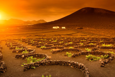 Scenic view of landscape against sky during sunset