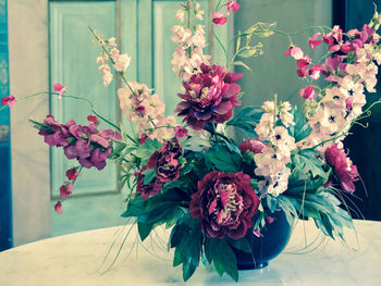 Close-up of pink flowers