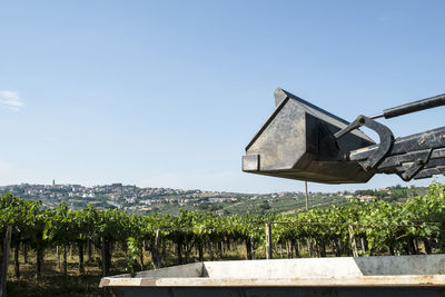 Agricultural machinery by vineyard against sky