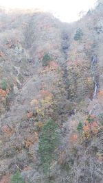 High angle view of landscape