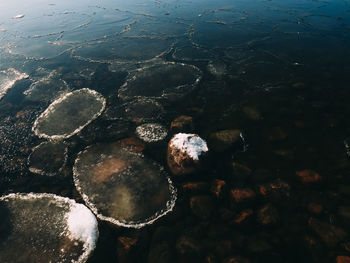 Aerial view of sea