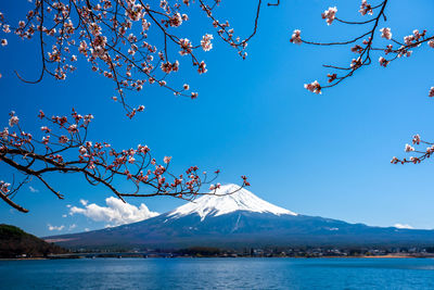 Scenic view of snowcapped mountains against blue sky