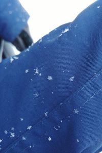 Close-up of tree against blue sky