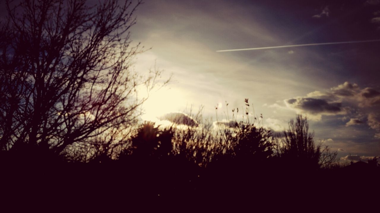 silhouette, sky, tranquility, tree, tranquil scene, beauty in nature, sunset, scenics, nature, cloud - sky, bare tree, low angle view, growth, idyllic, landscape, branch, sun, cloud, dark, field