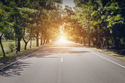 Empty road along trees