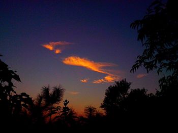 Silhouette of trees at sunset