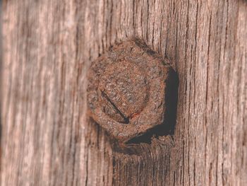 Close-up of rusty metal door