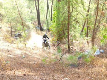 People riding bicycle in forest