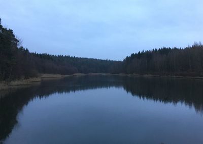 Reflection of trees in water