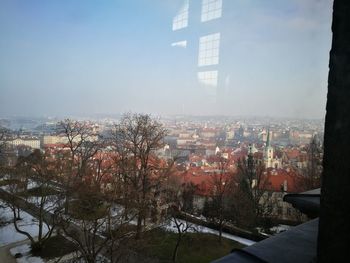 Trees in city against sky during winter