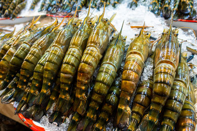 Close-up of food