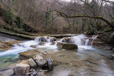 Scenic view of waterfall in forest