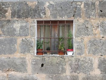 Close-up of window on stone wall
