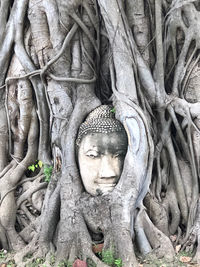 Statue of buddha