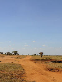 Scenic view of desert against clear sky