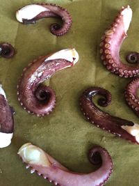 Close-up of food