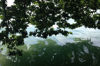Scenic view of calm sea