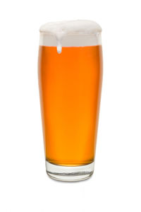 Close-up of beer glass against white background