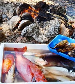 High angle view of fish for sale