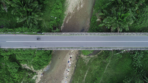 High angle view of empty road by trees in city