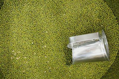 Directly above view of mung beans in container at shop