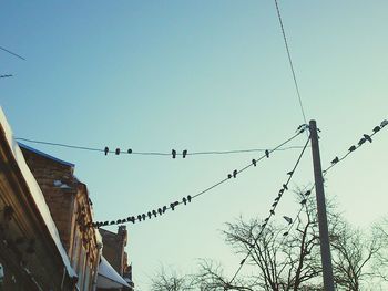 Low angle view of power lines against clear sky