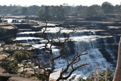 Scenic view of river flowing through forest