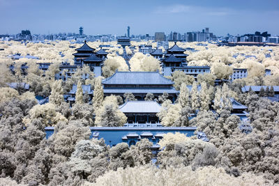 Infrared photography,jingshan park, beijing, china