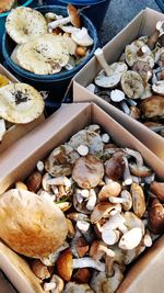 High angle view of shells in container on table