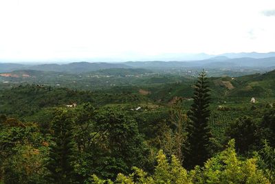 Scenic view of tree mountains against sky