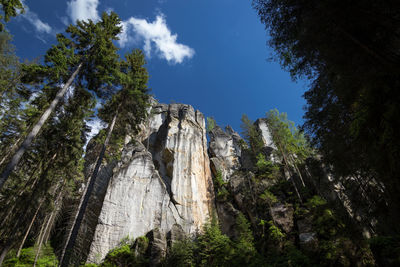 Low angle view of rock formation amidst trees against sky