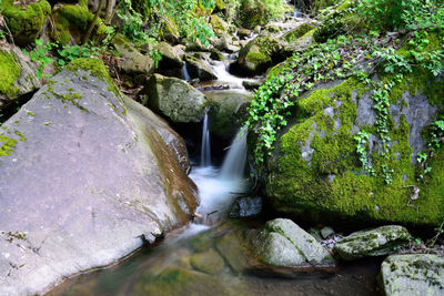 Stream flowing through rocks in forest