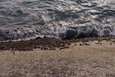 Close-up of wave splashing on beach