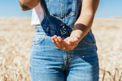 Crop female farmer in overalls standing in golden field and pouring wheat grain in hand