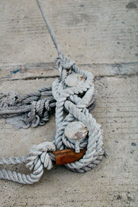 High angle view of rope tied on wood at harbor