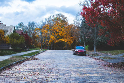 Cars on street in city against sky