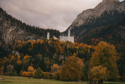 Trees and plants in forest against sky during autumn