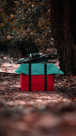 Lifeguard hut on field in forest