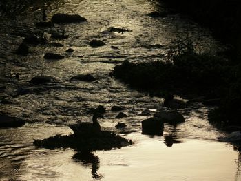 Rocks in water