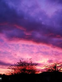 Low angle view of silhouette plants against dramatic sky