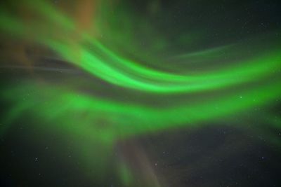 Low angle view of stars in sky at night